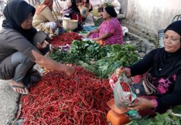Harga Cabai Merah di Panyabungan Makin Pedas