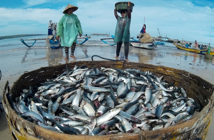 Cuaca Buruk, Aktifitas Nelayan Pantai Barat Madina Lumpuh