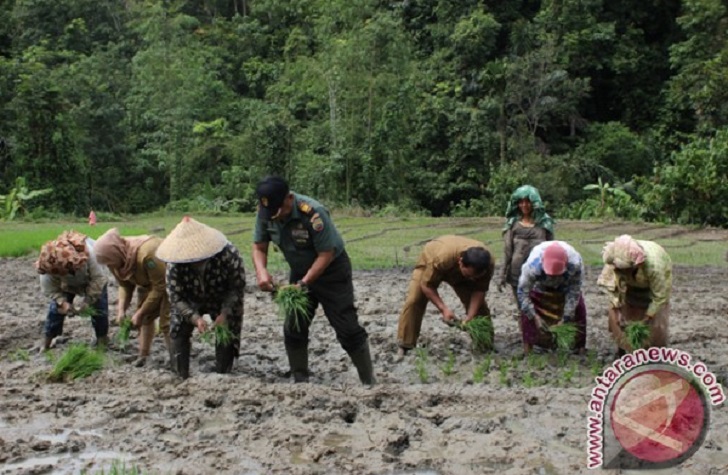 Koramil 13 - BP3K Adakan Tanam Perdana