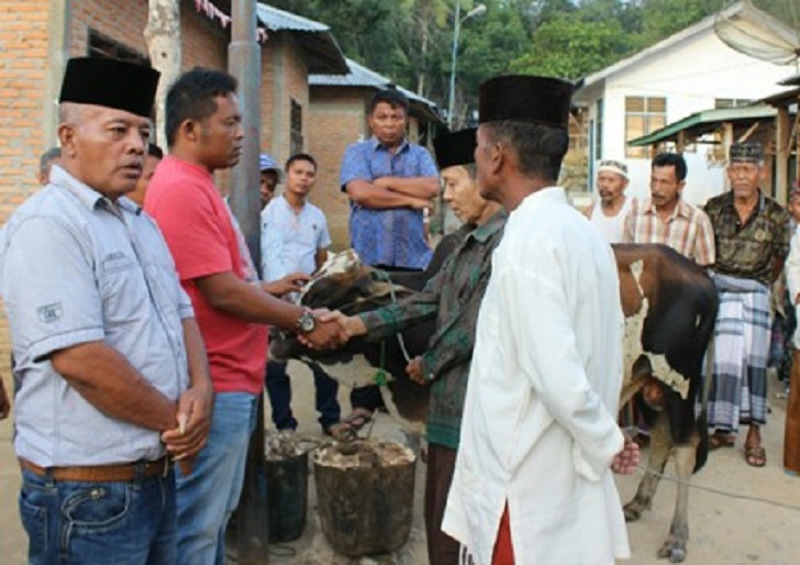 Partai Demokrat Madina Bagikan Qurban Ke Desa Tanjung Mompang