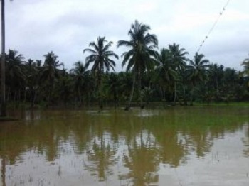 akibat-musim-hujan-beberapa-daerah-terjadi-banjir