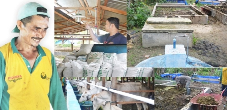 Melirik Produksi Pupuk Organik di Desa Rumbio