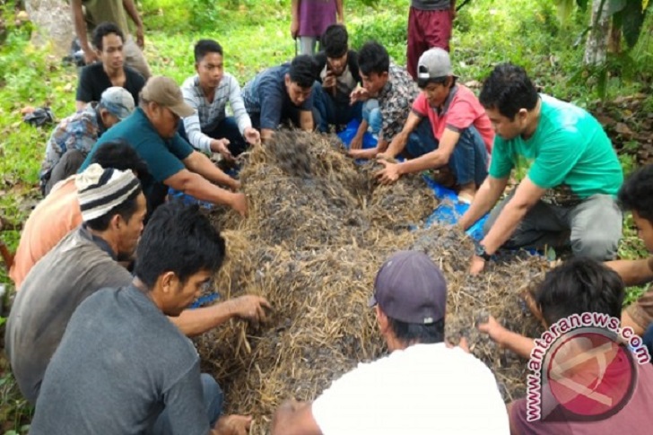 Manfaatkan Dana Desa, Warga Hasilkan 4 Ton Pupuk Kompos