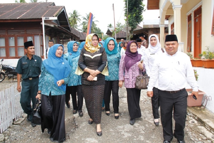 Tim PKK Madina: Pencanangan Kesatuan Gerak PKK-KB Kesehatan